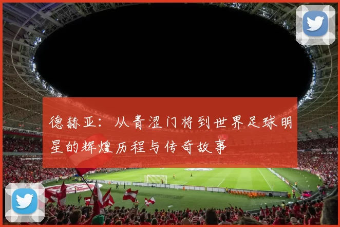 德赫亚：从青涩门将到世界足球明星的辉煌历程与传奇故事