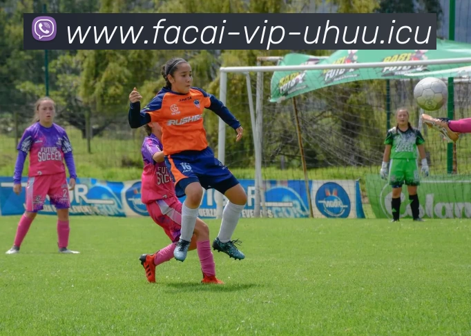 乐鱼体育APP 封面图